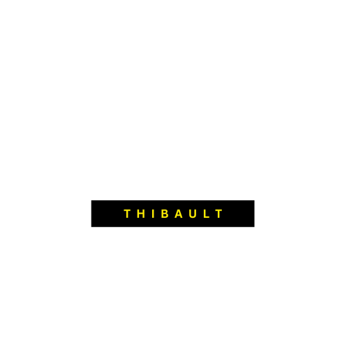 Logo Thibault Vignais – kinésithérapeute du sport